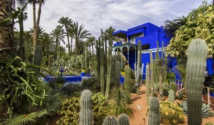 Le Jardin Majorelle
