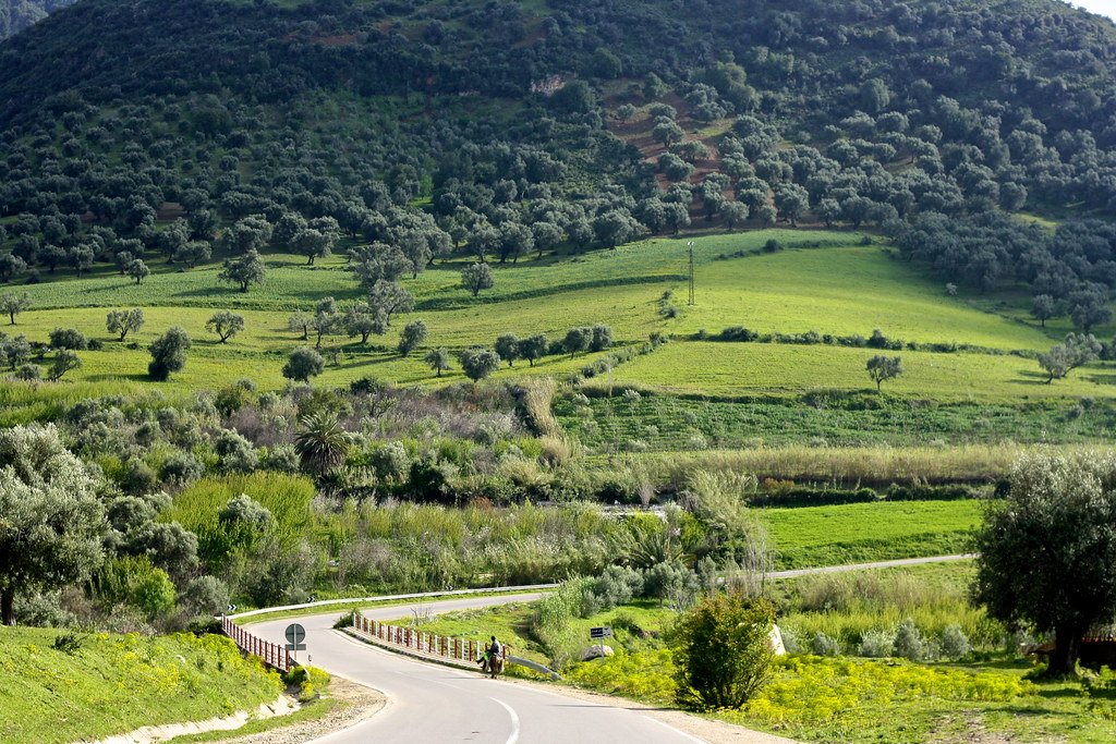 louer une voiture pour aller a essaouira depuis marrakech