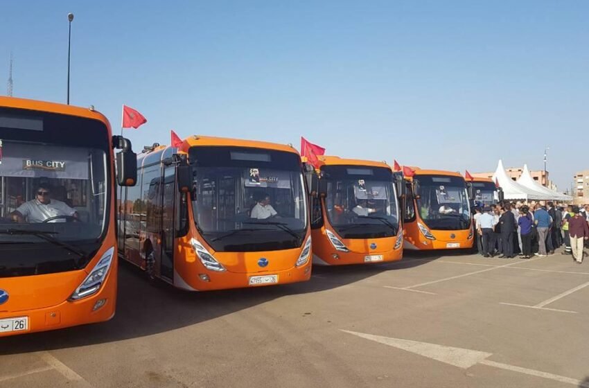  Les bus à Marrakech