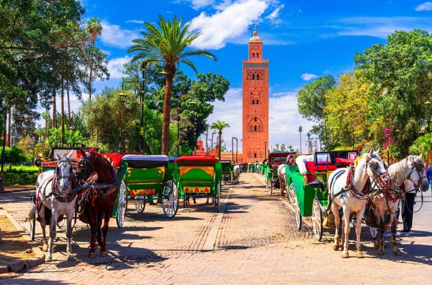  Marrakech en été