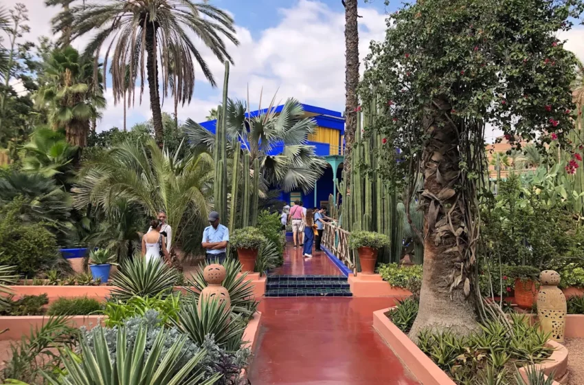 Vue du Jardin Majorelle à Marrakech avec végétation exotique et allées ombragées