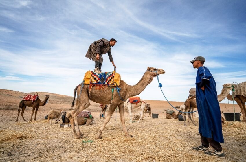 visiter agafay marrakech